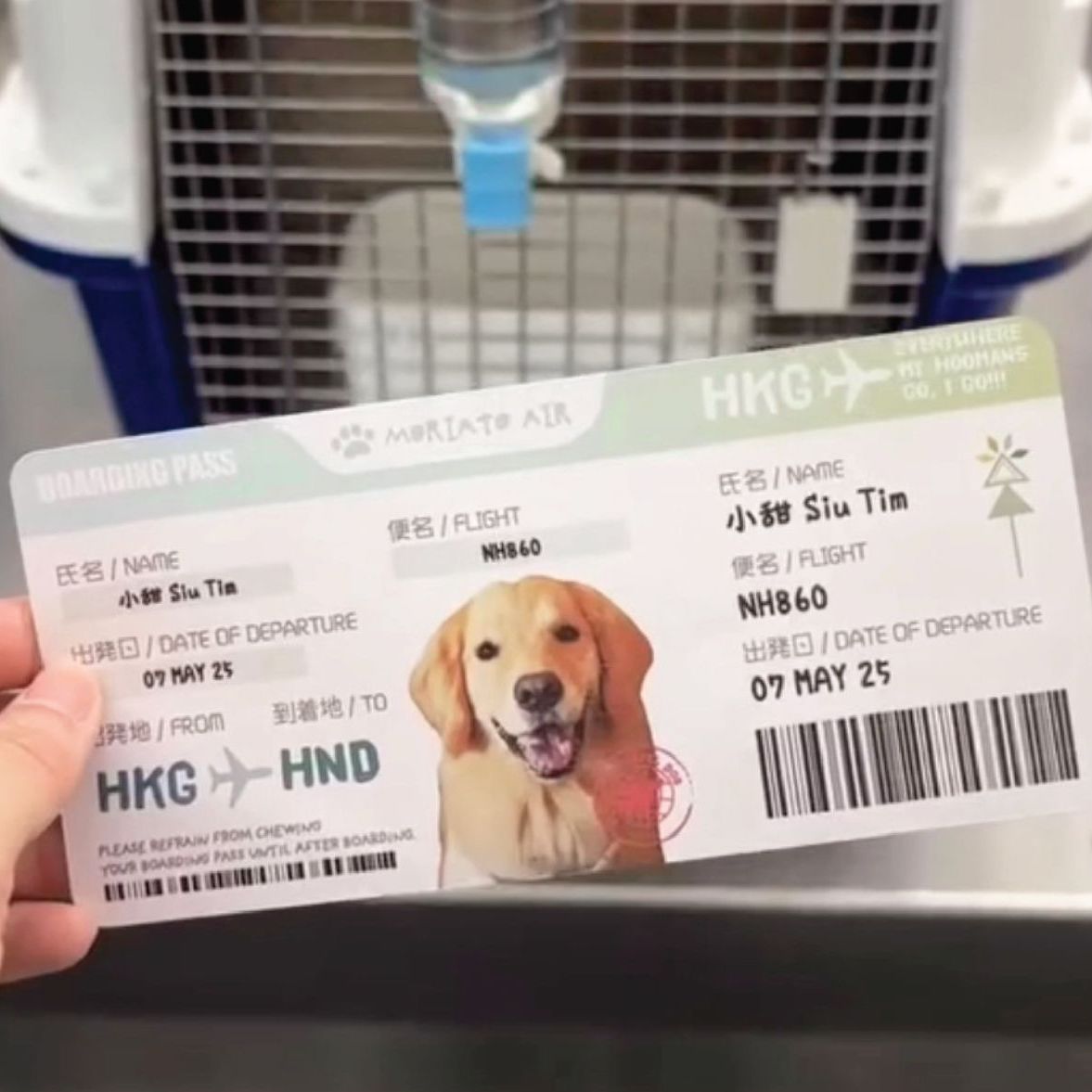 出遊日記:旅行掛件 • Adventure Log:Paw-cation Charms