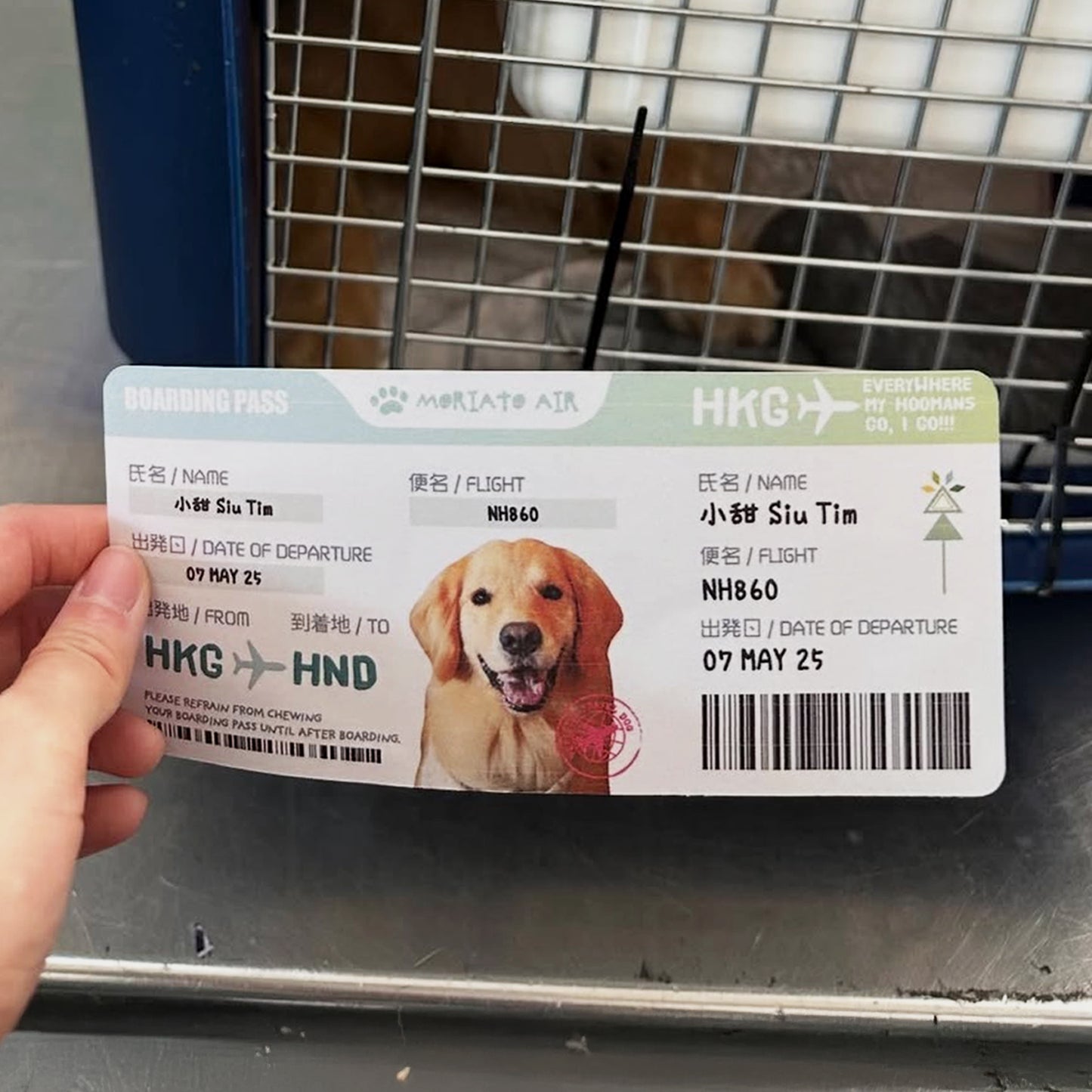 出遊日記:旅行汪登機證 Adventure Log: Travel Dog Boarding Pass