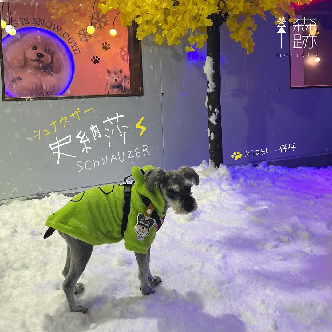 頭像系列 : 史納莎名牌 AVATAR SERIES: Schnauzer Name Tag