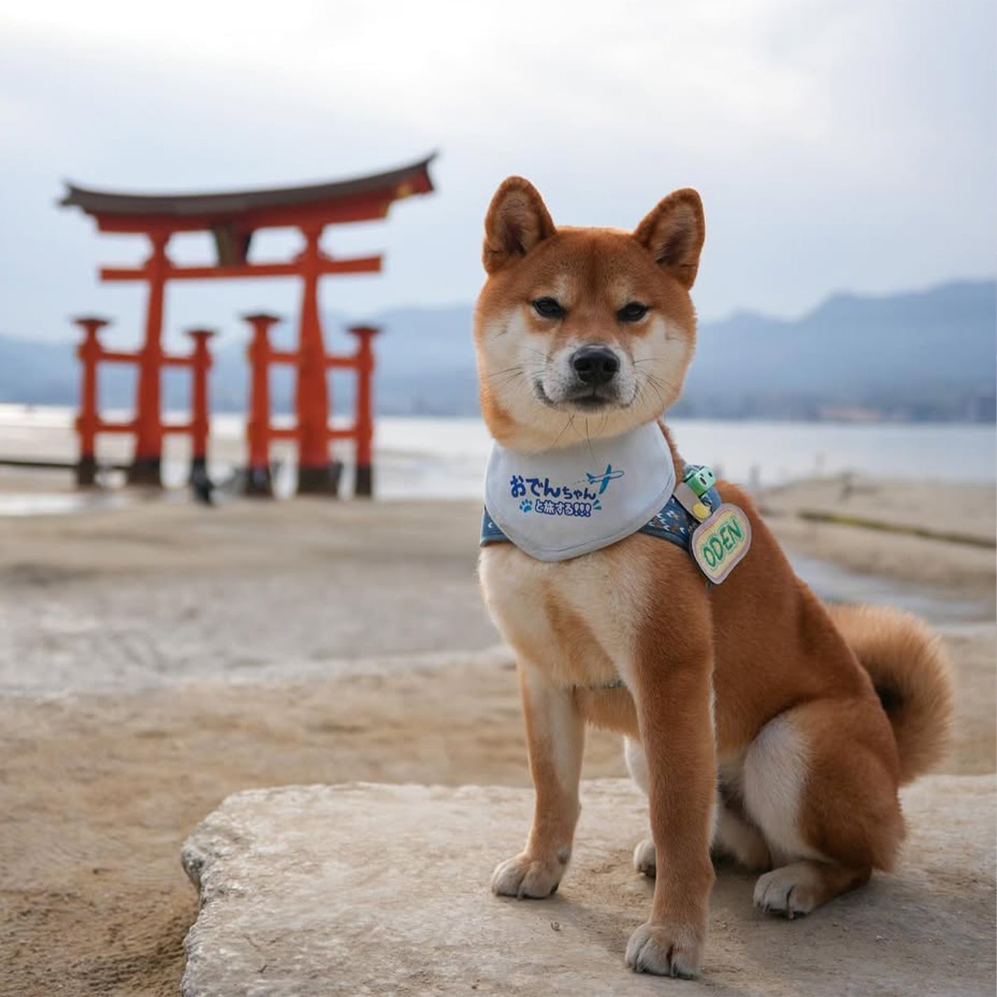 出遊日記:旅行汪雙面領巾 • Adventure Log:Paw-cation Double-sided Bandana