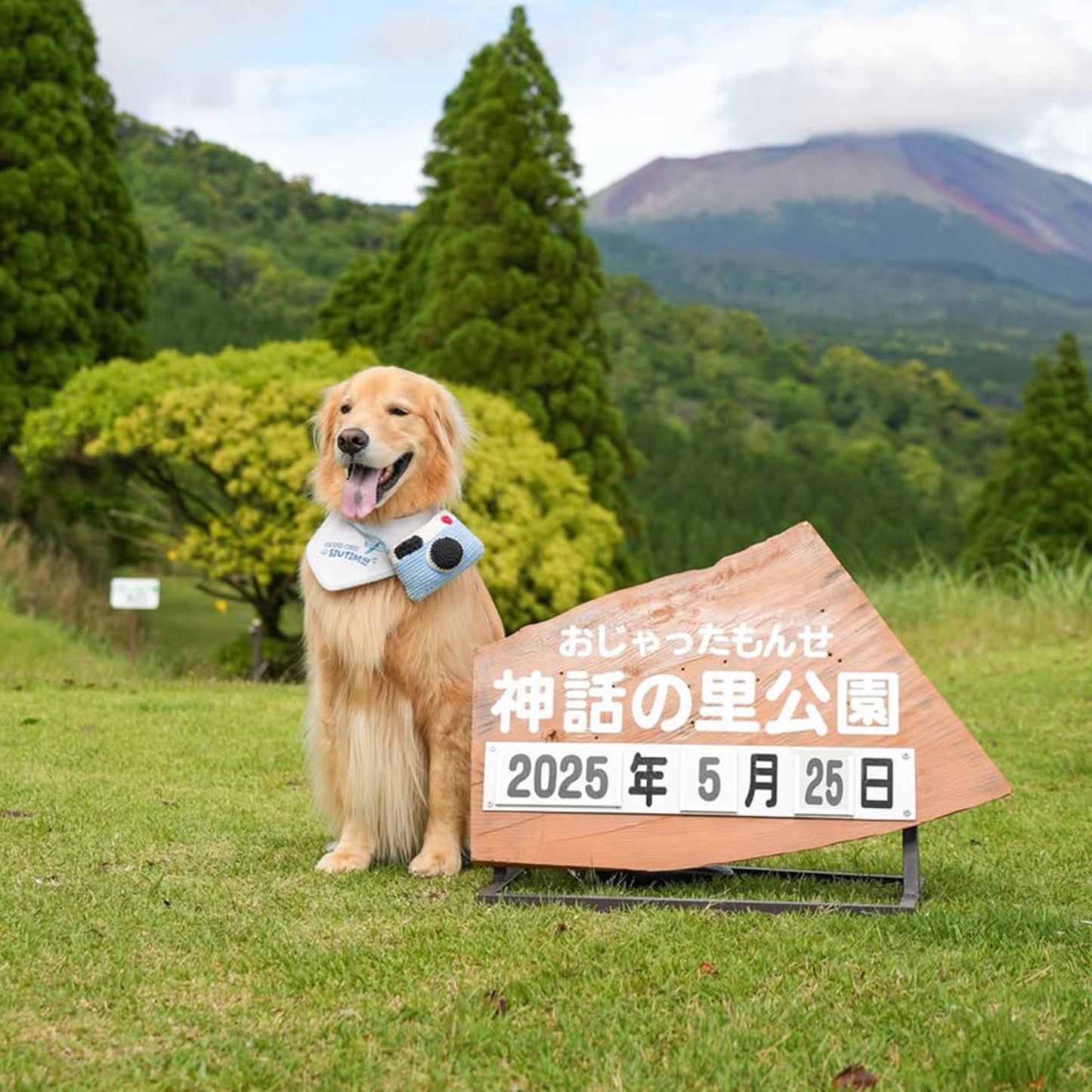 出遊日記:旅行汪雙面領巾 • Adventure Log:Paw-cation Double-sided Bandana