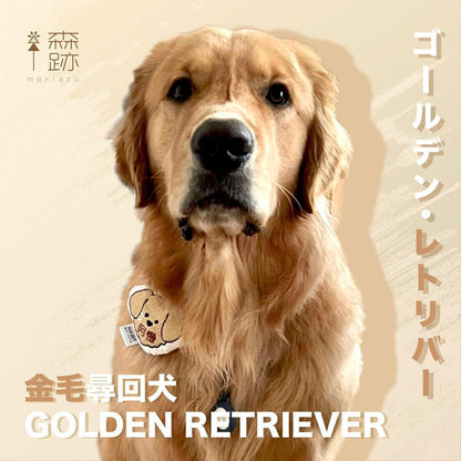 頭像系列 : 金毛尋回犬名牌 AVATAR SERIES: Golden Retriever Name Tag