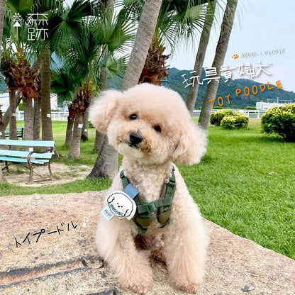 頭像系列 : 玩具貴婦犬名牌 AVATAR SERIES: Toy Poodle Name Tag