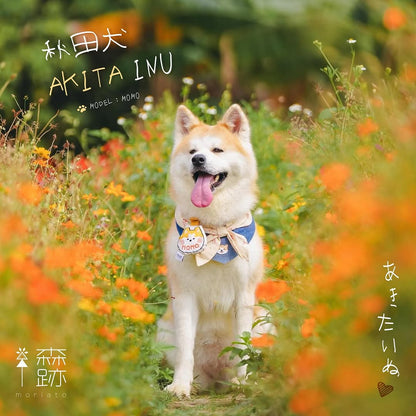 頭像系列 : 秋田犬名牌 AVATAR SERIES: Akita Inu Name Tag