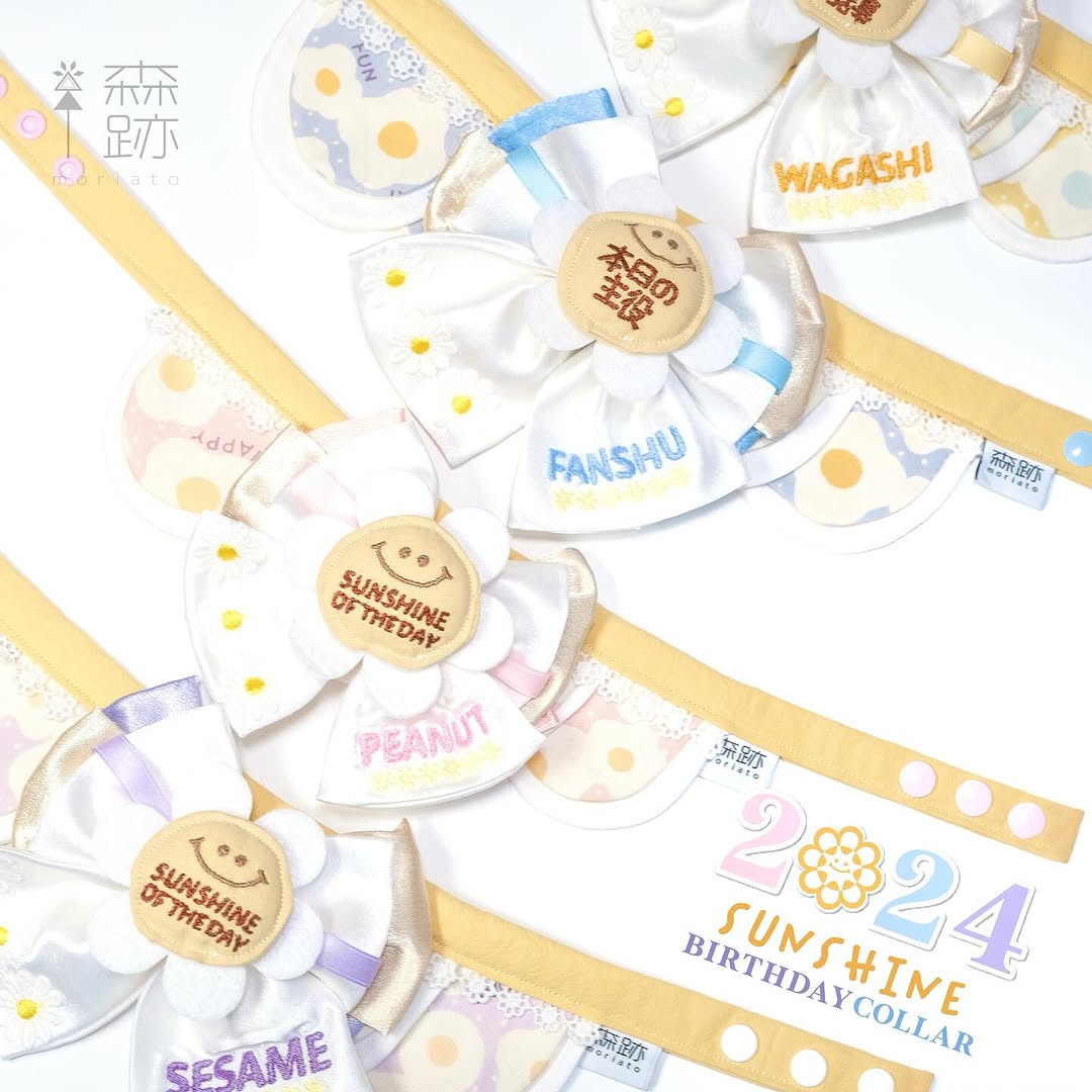 2024生日花花項圈 2024 Sunshine Birthday Collar