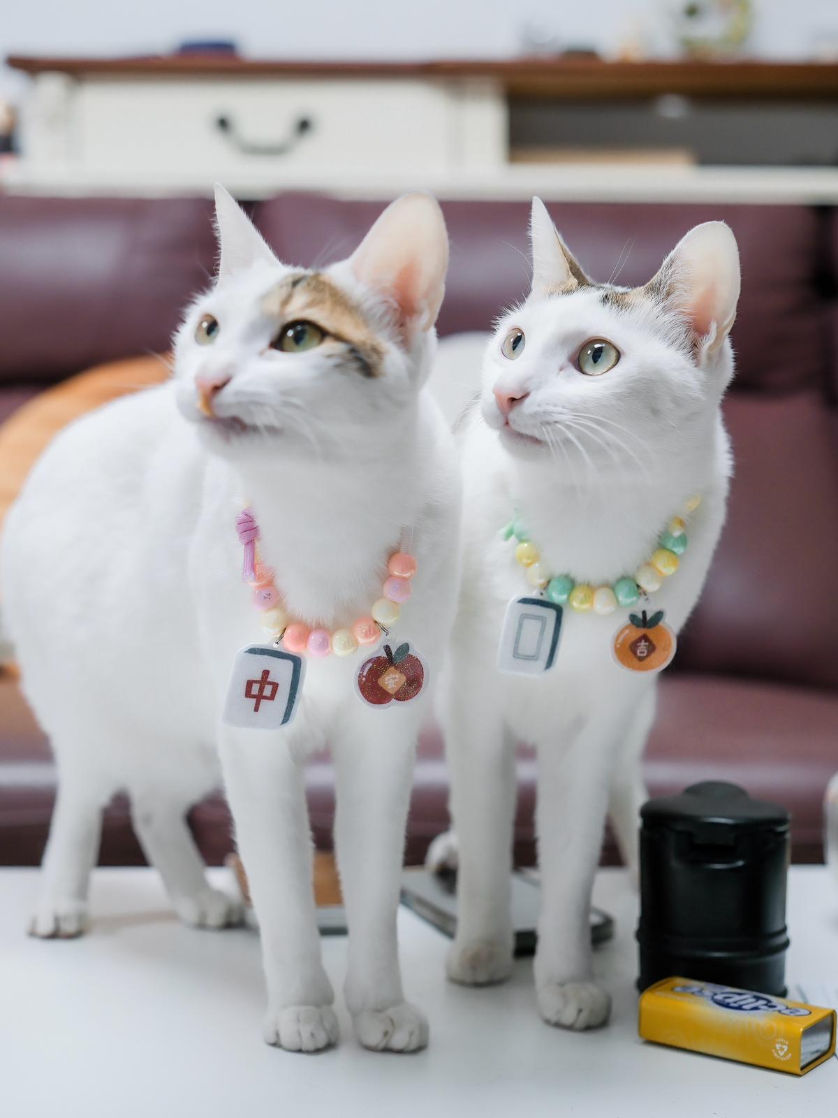 🪭 新春頸飾掛件 • CNY Charms Collar 🐎