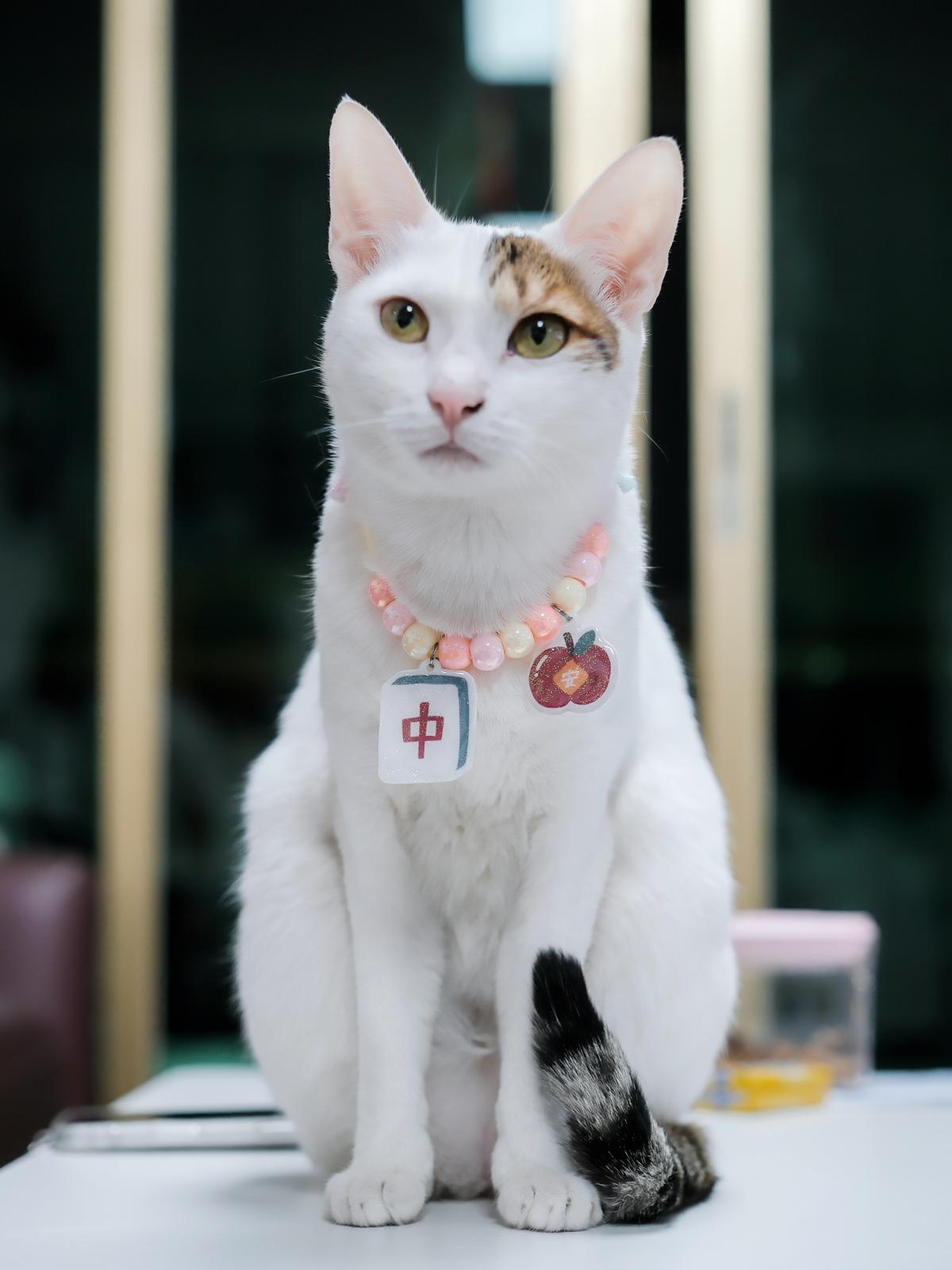 新春頸飾 • Collars for CNY