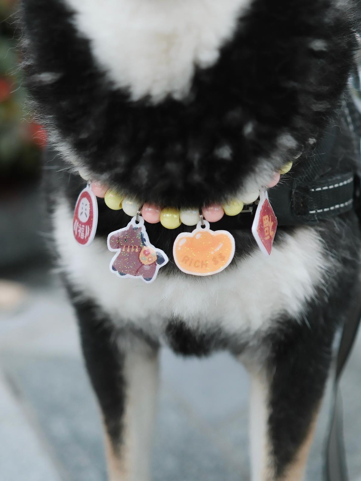 新春頸飾 • Collars for CNY